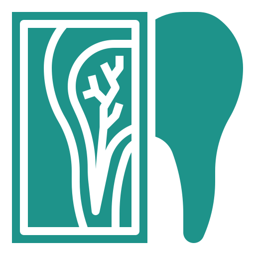 Tooth Icon
